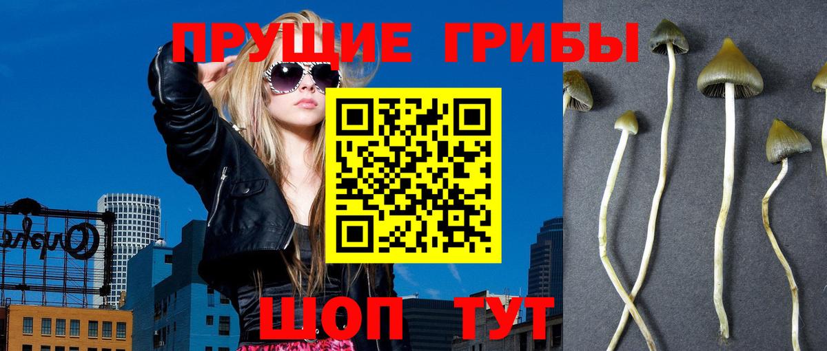 Туймазы  Псилоцибиновые грибы мицелий  Вход с VPN 